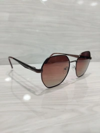 Knight Horse Polarized 31313 - 56, Brown
