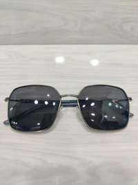 Knight Horse Polarized 31311 - Dove Gray, 53