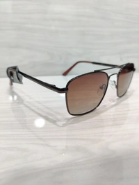 Knight Horse Polarized 31316 - Brown, 53