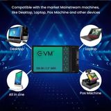 EVM 256 GB Sata SSD