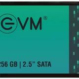 EVM 256 GB Sata SSD