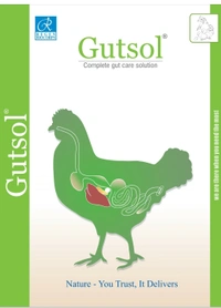 Gutsol - 250 Ml
