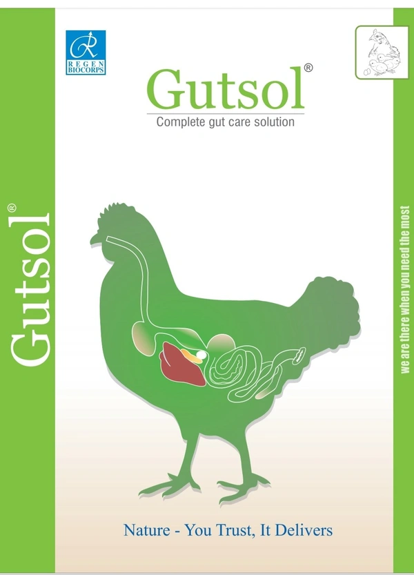 Gutsol - 250 Ml