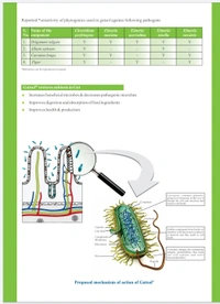 Gutsol - 250 Ml