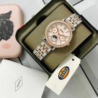 FOSSIL WATCH