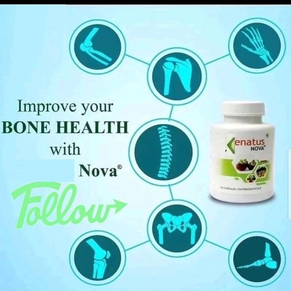 Renatus Wellness ORIGINAL Renatus Nova Capsules | Nutraceuticals Supplement| 120 Capsule - 120 Capsules, 24 Months