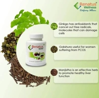 Renatus Wellness ORIGINAL Renatus Nova Capsules | Nutraceuticals Supplement| 120 Capsule - 120 Capsules, 24 Months