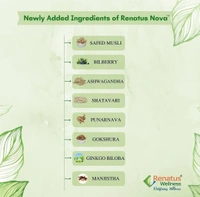 Renatus Wellness ORIGINAL Renatus Nova Capsules | Nutraceuticals Supplement| 120 Capsule - 120 Capsules, 24 Months