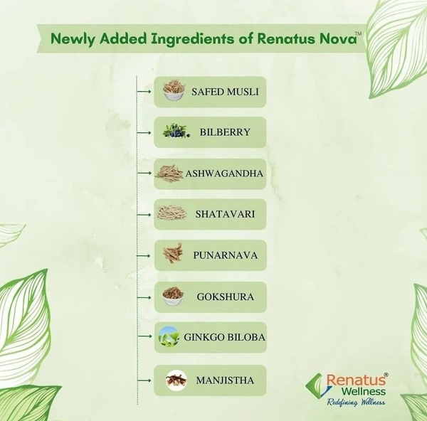 Renatus Wellness ORIGINAL Renatus Nova Capsules | Nutraceuticals Supplement| 120 Capsule - 120 Capsules, 24 Months