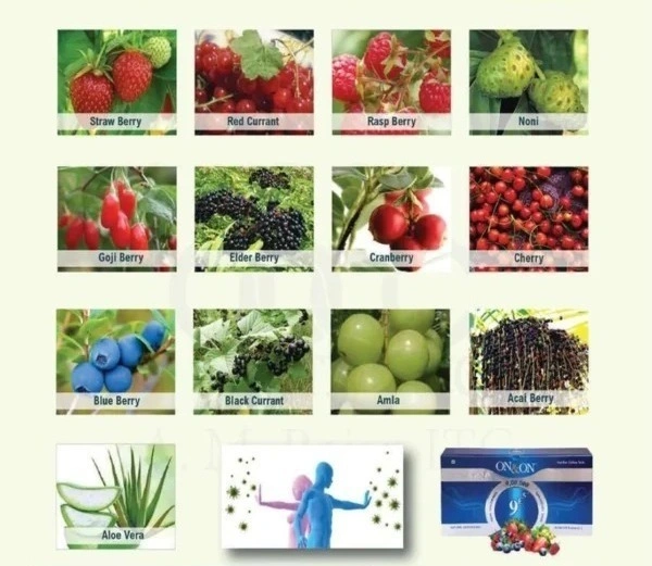 Elements On & On 9E5 Drink Juice Concentrate - Natural Antioxidant Juice - 10 Sachets - 330 Ml, 12 Months