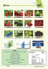 Elements On & On 9E5 Drink Juice Concentrate - Natural Antioxidant Juice - 30 Sachets - 990 Ml, 12 Months