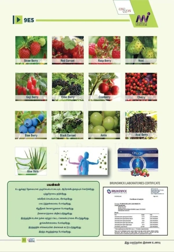 Elements On & On 9E5 Drink Juice Concentrate - Natural Antioxidant Juice - 30 Sachets - 990 Ml, 12 Months