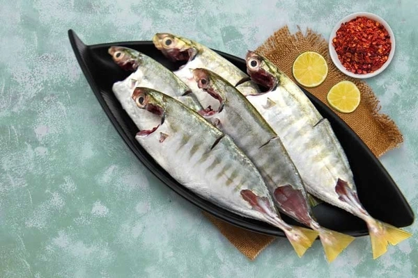 Topi Fish 1kg