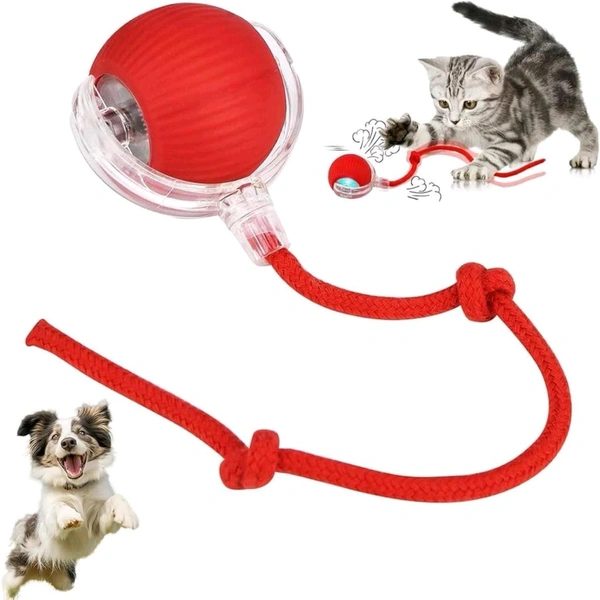 Automatic Cat Teaser Ball - Web Orange, Free