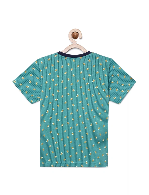 100% Cotton Half Sleeves Graphic Print T-Shirts for Boys - 3-4 Years(22), Multicolor