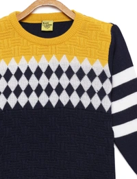 8 Single Poly Full Sleeves Regular Print Sweater For Boys-Checkered - 5-6 Years(26), Mustard