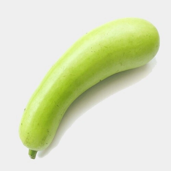 Bottle Gourd : 1 Kg