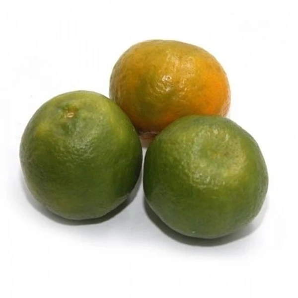 Orange Nagpur