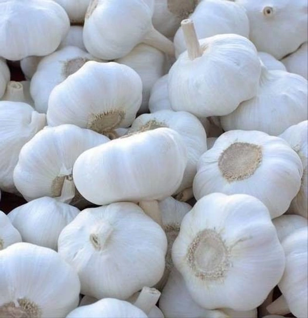 Garlic (Hybrid) : 100gm