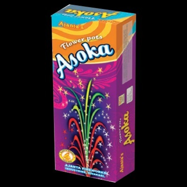 Flower Pots Ashoka (பூச்சட்டி அசோகா )