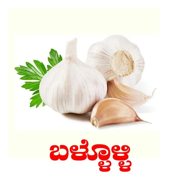 LASAM - 1 KG