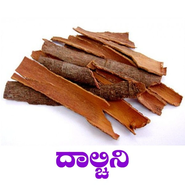 DALCHINI - 100 GRM