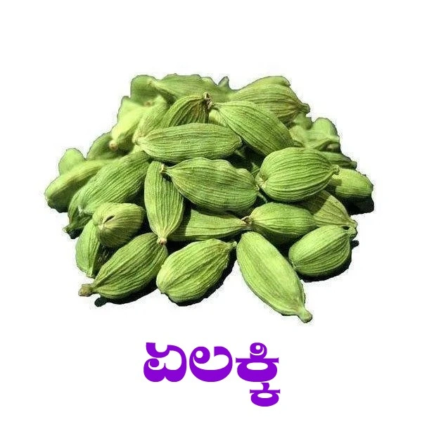 ELACHI - 50 GRM