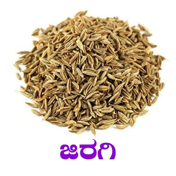 JEERA - 100 GRM