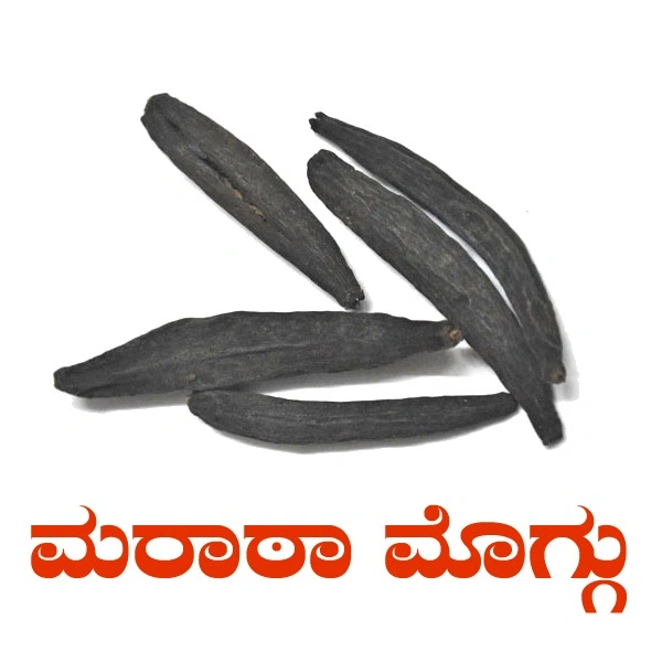 MARATHA MOGGU - 50 GRM