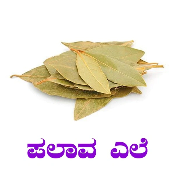 PALAV ELI - 20 GRM, PALAV PATTA
