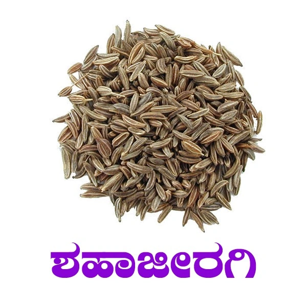 SHAHAJEERA - 50 GRM