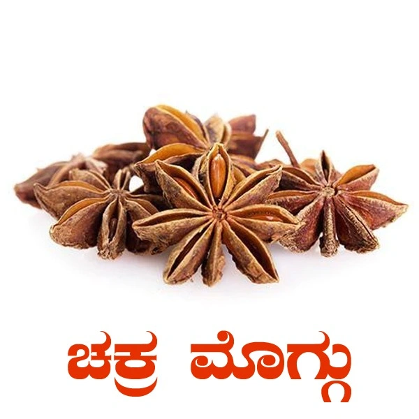 STAR ANISE - 10 GRM, CHAKRA MOGGU