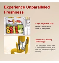 Godrej 180 L 2 Star Advanced Capillary Technology, With Jumbo Vegetable Tray Direct Cool Single Door Refrigerator(2023 Model, RD EDGE 205B WRF PP BL, Pep Blue)