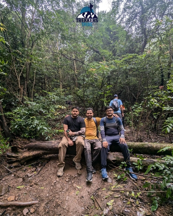 Trek to Andharban Jungle Trail  🛤️ - 