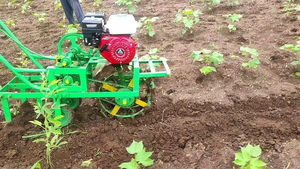 6.5 Hp Petrol Engine Mini Tiller Baliraja Ghayghion - Green, 30cm/150cm