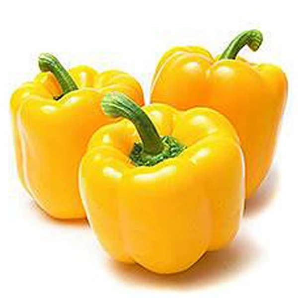 Yellow Capcicum - 500 Kg