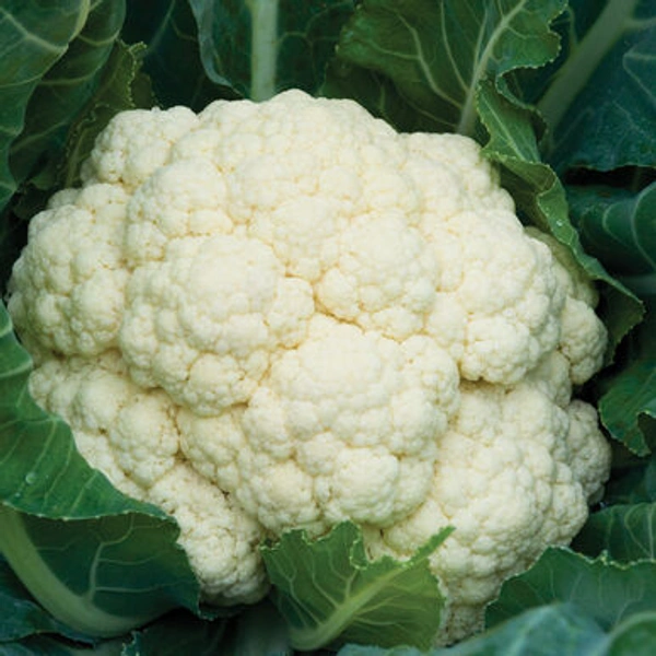 Cauliflower - 250gm