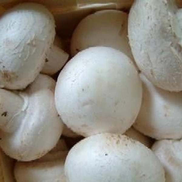 Button Mushroom - 200 Gms