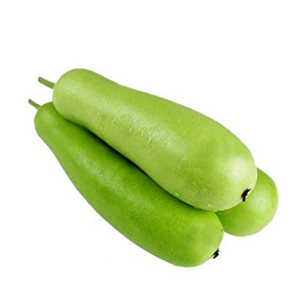 Bottle Gourd - 1 Pc