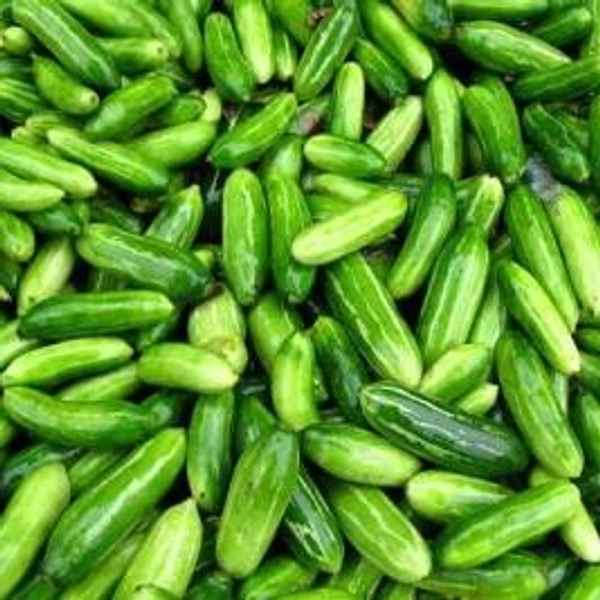 Ivy Gourd - 250 Gm