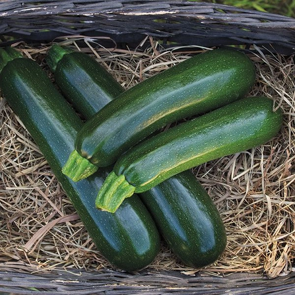 Zucchini - 500 Gm