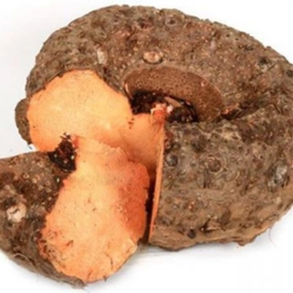 Elephant Foot Yarm - 1 Kg
