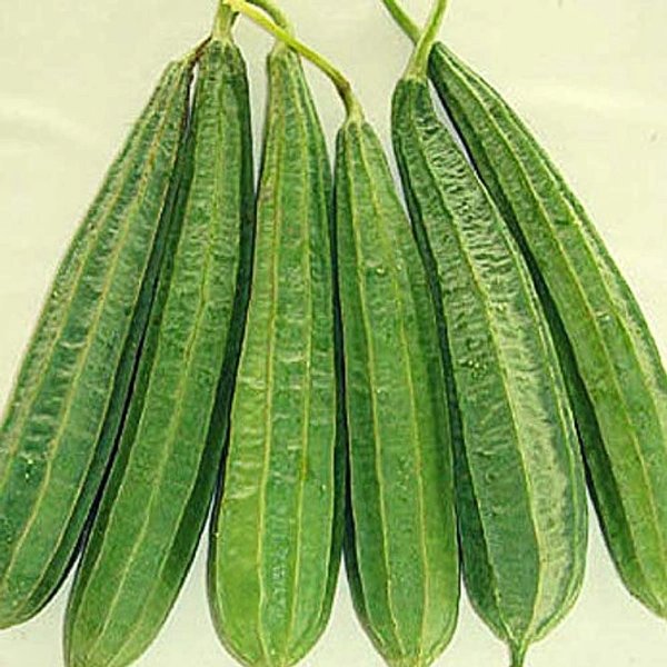 Ridge Gourd - 1 Kg