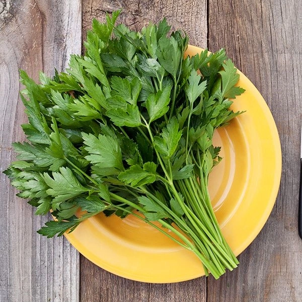 Parsley - 100 Gm