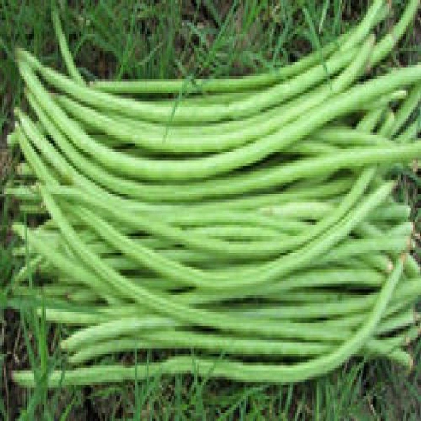 Green Peas Cowpea - 500 Gm
