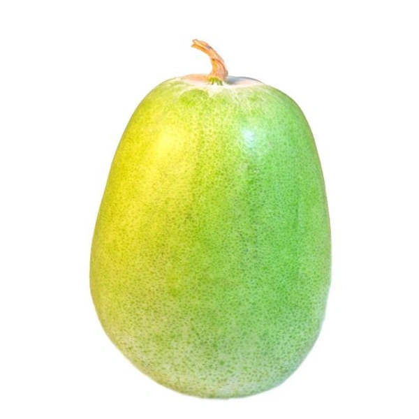 Ash Gourd - 1kg To 1.5 Kg