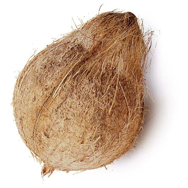 Fresh Coconut - 1 Pc
