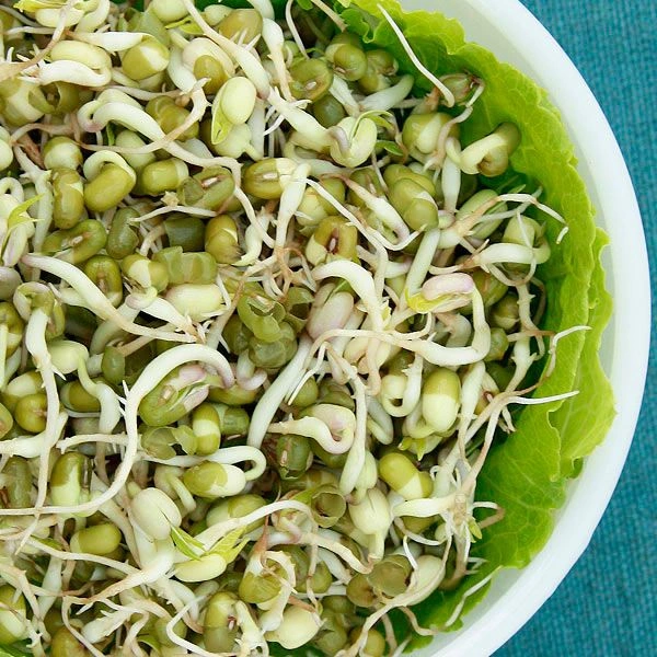 Moong Sprouts - 300 Gm