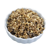 Matki Sprouts - 150 Gm