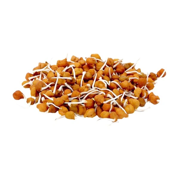 Chana Sprouts - 300  Gm